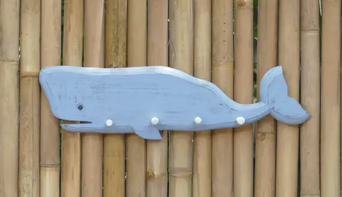 Product image of the product “Whale shape as Wardrobe, wood, 60cm long. Wood thickness is 2,6cm the hanger stick out 6cm. ”